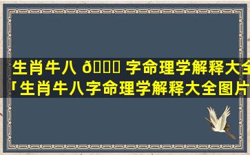 生肖牛八 🐝 字命理学解释大全「生肖牛八字命理学解释大全图片」